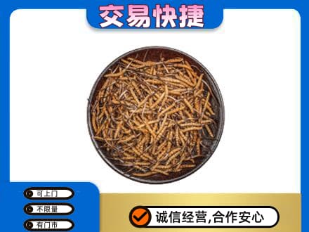 张掖高价回收散虫草